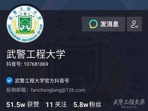 抖音官方新闻大爆料,最新动态与幕后故事大爆料！