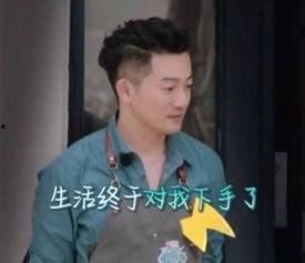 苏有朋秦峰爆料了吗视频,揭秘娱乐圈不为人知的一面